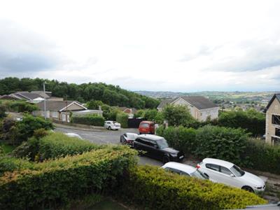 Picture 24